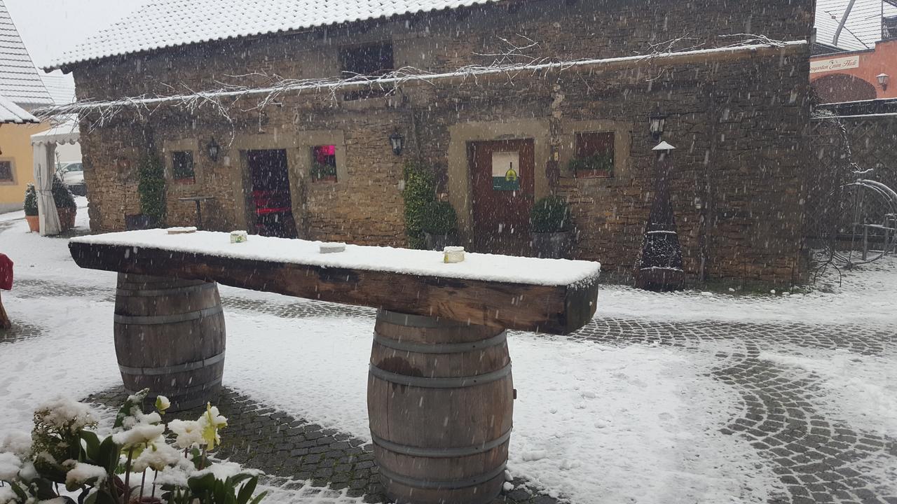 Der Patrizierhof - Weingut Gasthof Hotel - Familie Grebner Grosslangheim Kültér fotó