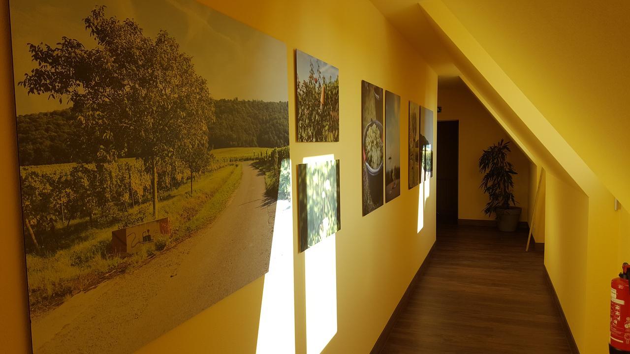 Der Patrizierhof - Weingut Gasthof Hotel - Familie Grebner Grosslangheim Kültér fotó
